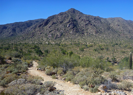 Trail across the lower end of Ford Canyon