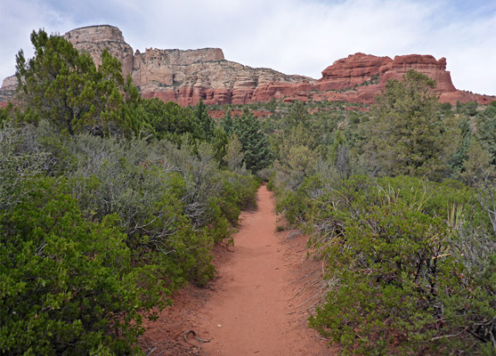 Straight section of the Long Canyon Trail