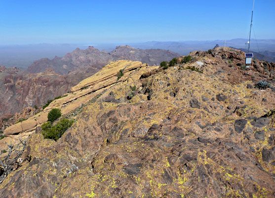 Yellow lichen on the summit of Mount Ajo