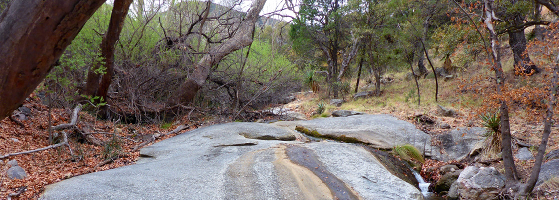 Stream flowing over granite, Ramsey Canyon