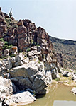 photograph