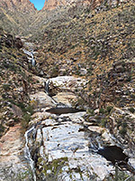 Bear Canyon Trail