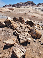 Log fragments