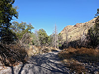 Bonita Canyon