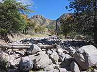 White boulders in Bonita Creek