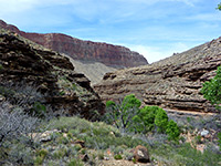 The upper canyon