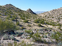 Saguaro-covered hills