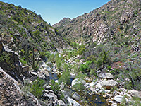 Sabino Canyon Trail