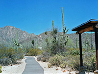 The Desert Discovery Nature Trail