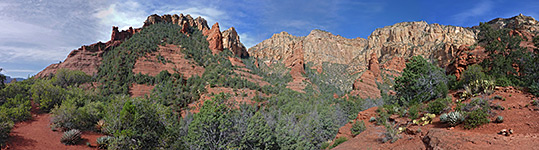 Bushes and red rocks