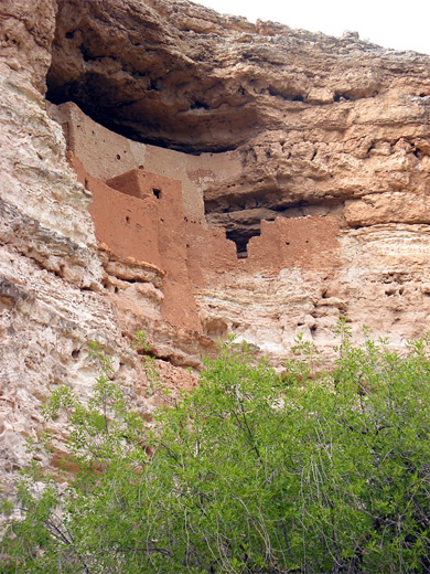 The ruins at Montezuma Castle