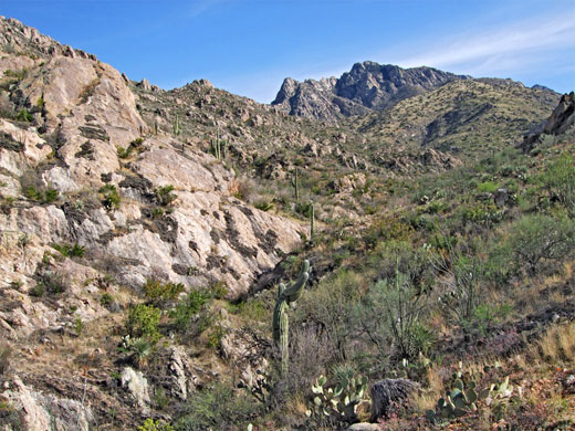 Romero Canyon