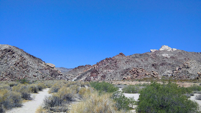 Desert by the trailhead