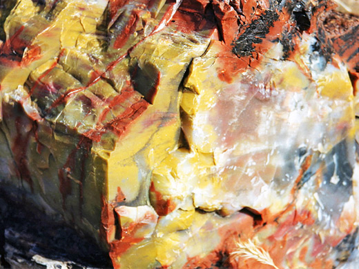 Photographs of Petrified Forest National Park