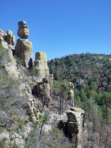 Pinnacles at Chiricahua