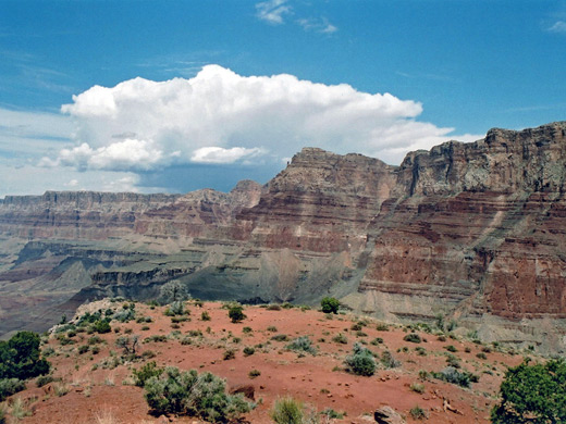 Cliffs above the Colorado - Palisades of the Desert