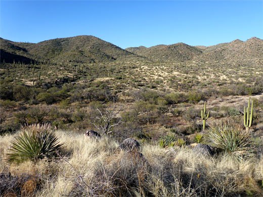 Wide basin - the upper end of Wild Burro Canyon