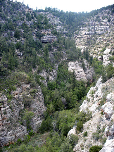 Walnut Canyon, along the Island Trail