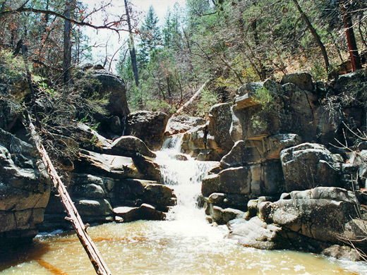 Cascade and pool