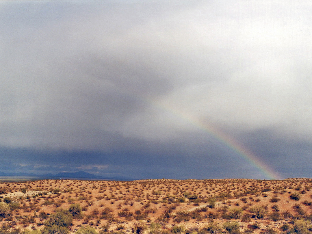 Rainbow over the desert
