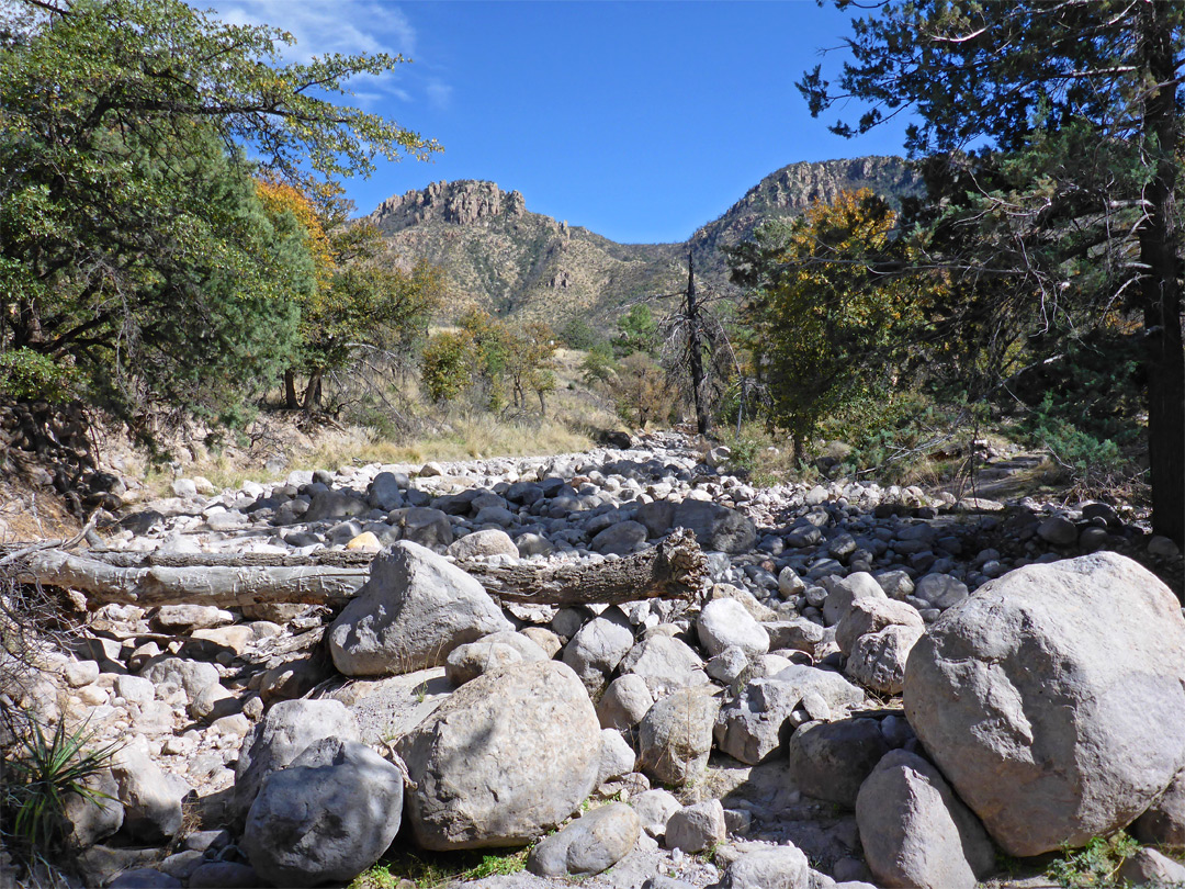 White boulders in Bonita Creek