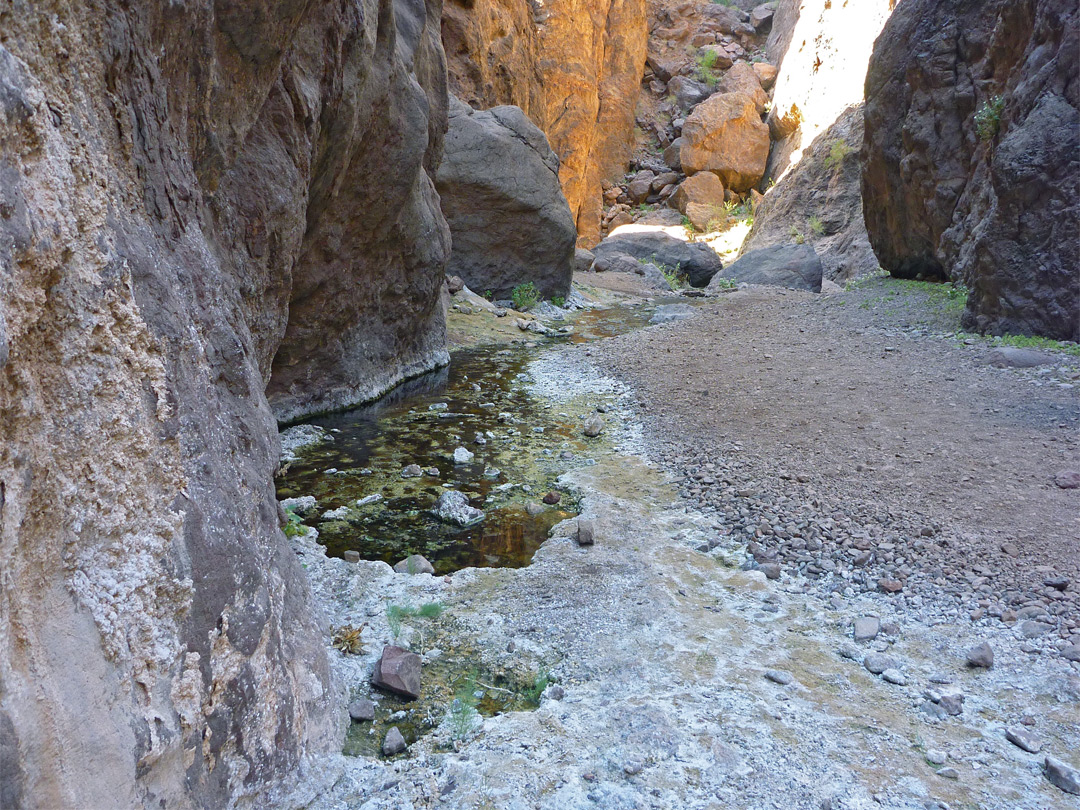 Mineral-encrusted-stream
