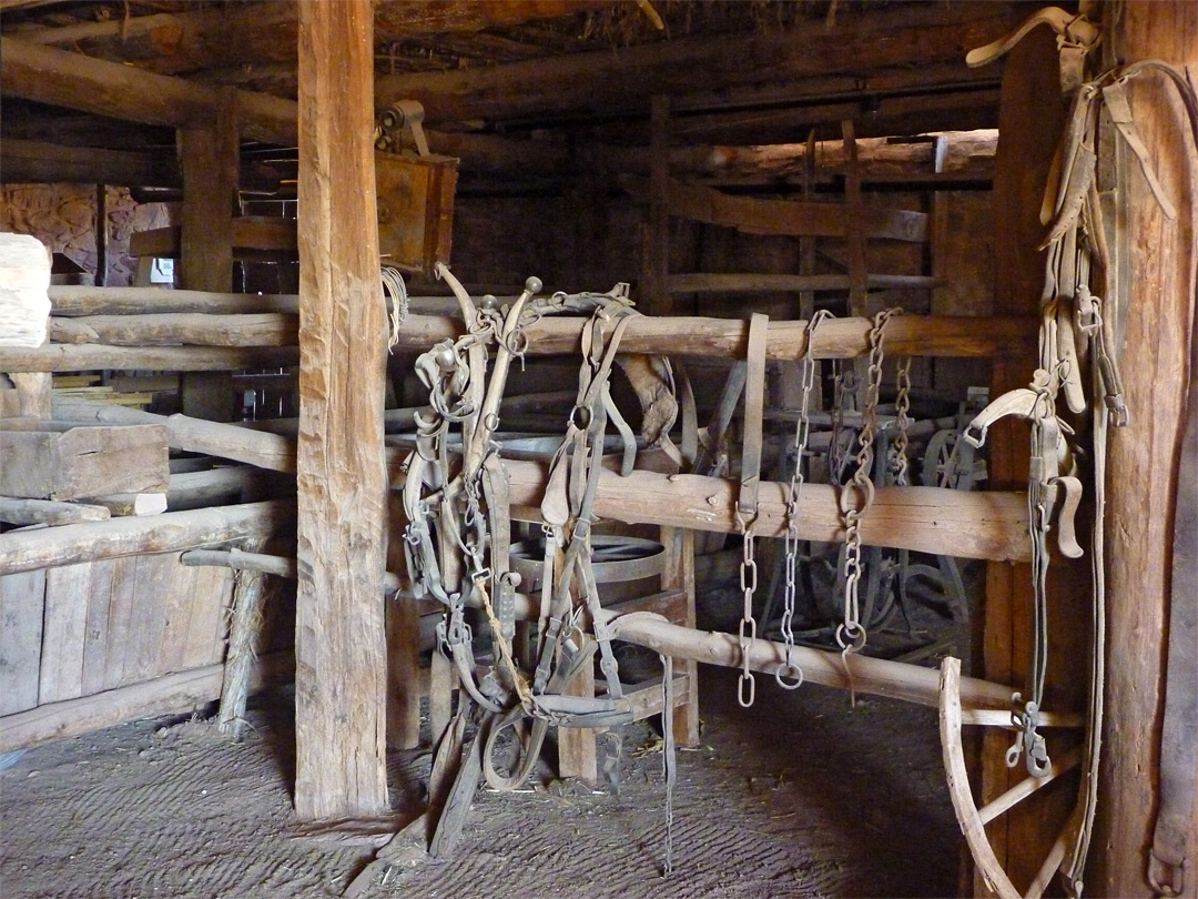 Harnesses in the barn