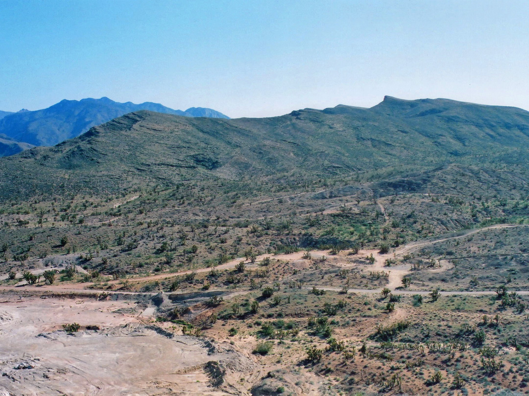 Joshua tree basin