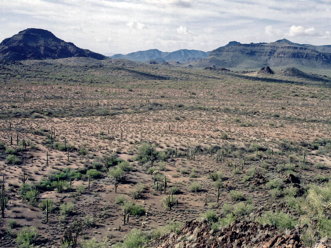 Wide view over the desert