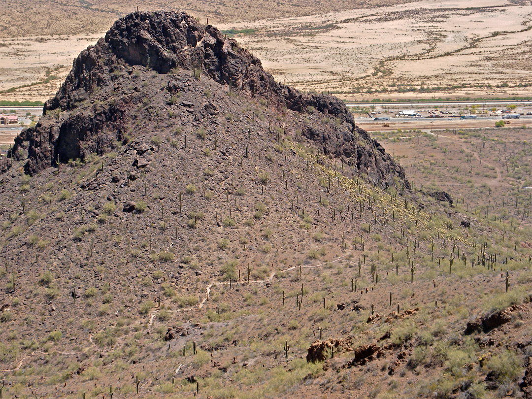 Saguaro-covered peak