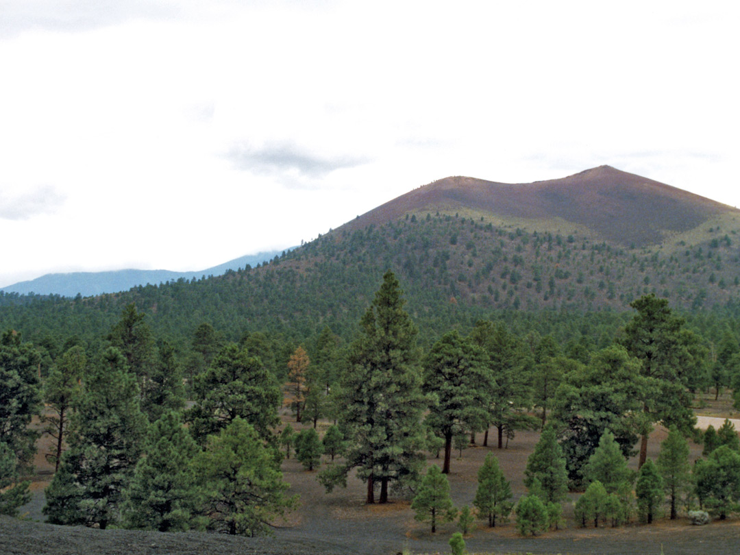 East side of Sunset Crater
