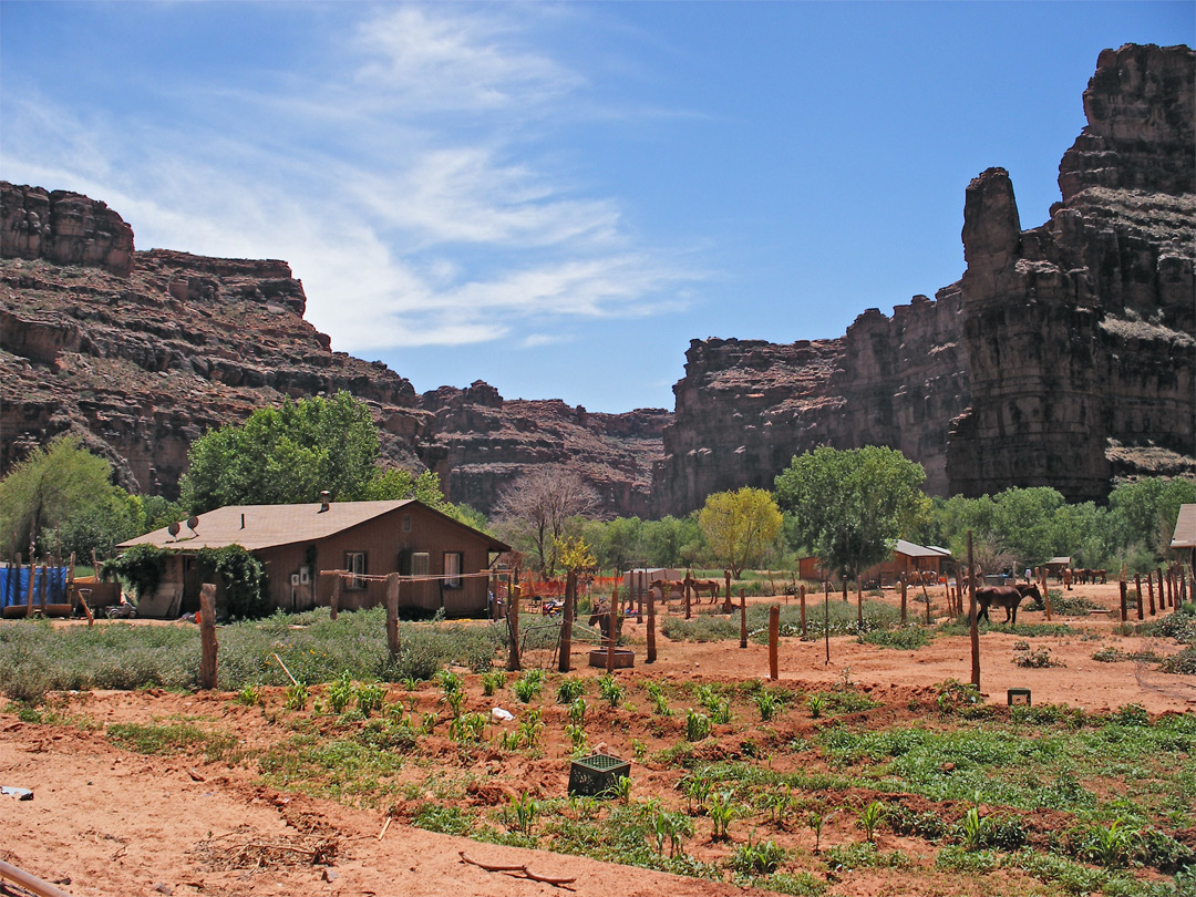 House in Supai