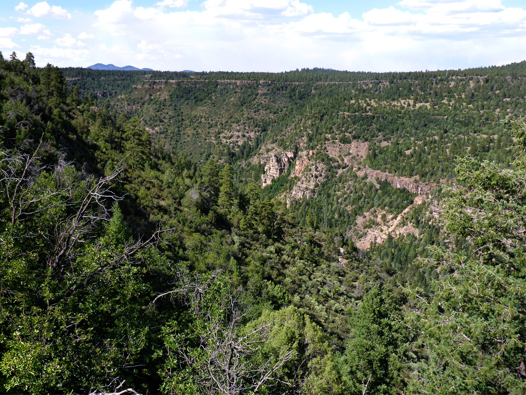 The canyon - south