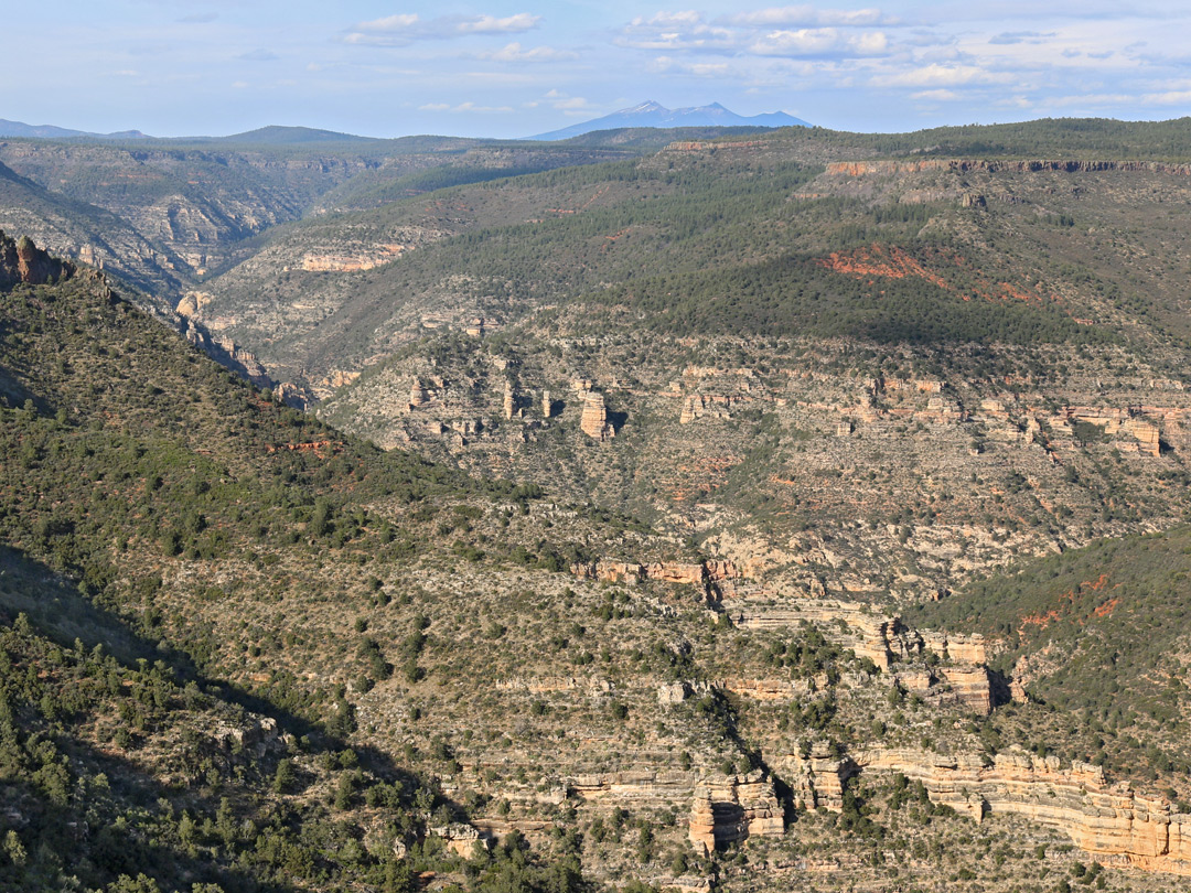 View north over the canyon