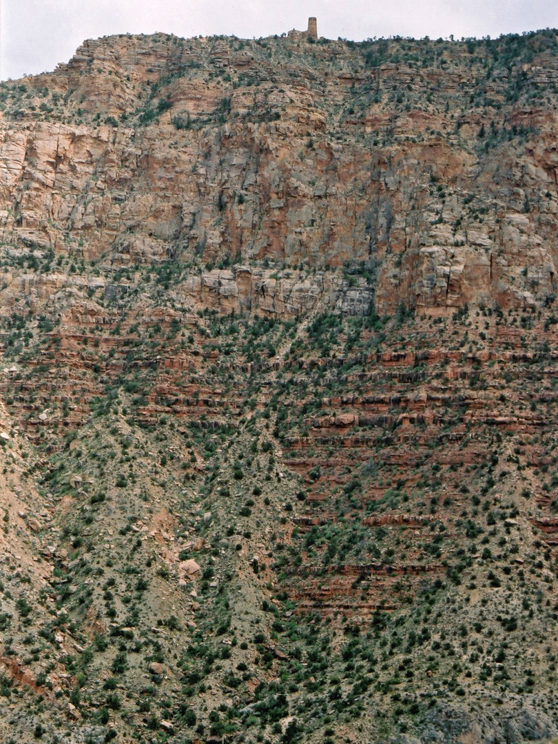Cliffs beneath Desert View