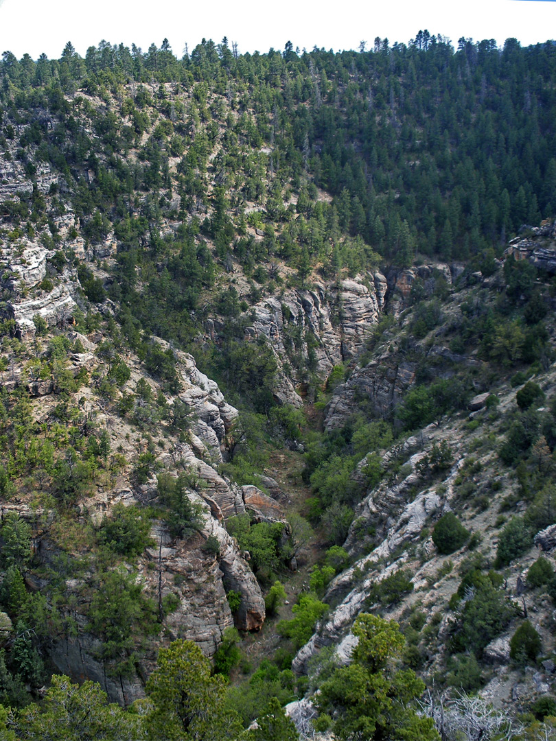 Walnut Canyon - east