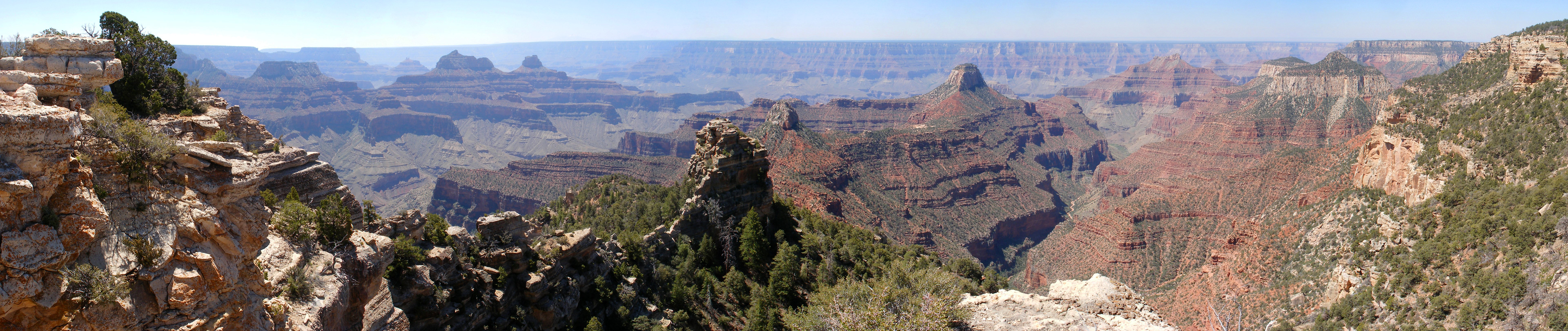 Panorama of the Grand Canyon, from Widforss Point