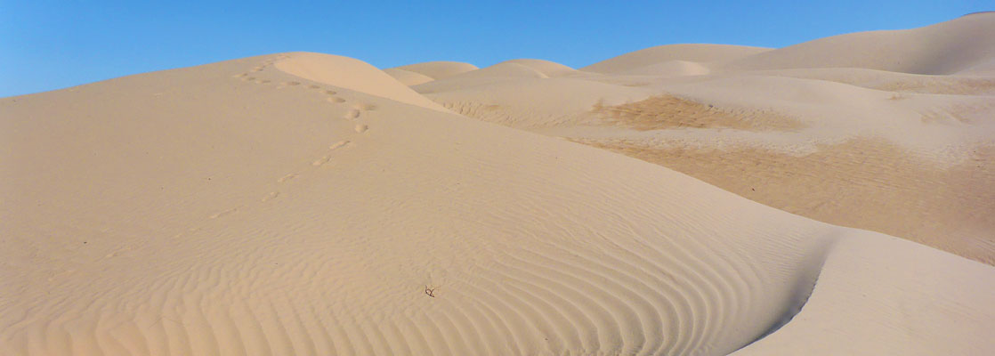 Middle of the Algodones Dunes