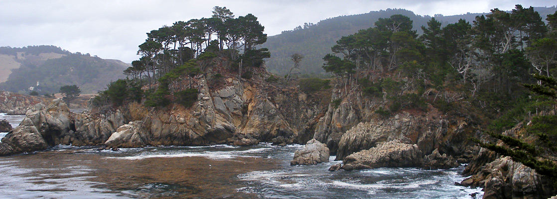 The east side of Bluefish Cove, Point Lobos