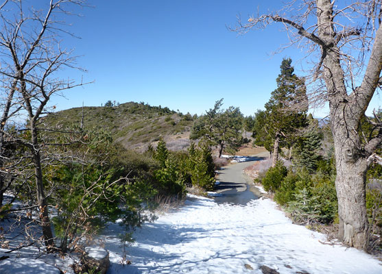 Late season snow on the road near the Cuyamaca Peak summit