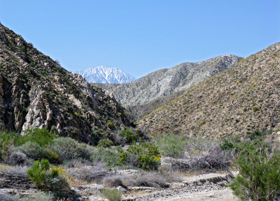 Hills towards the southern end of Big Morongo Canyon