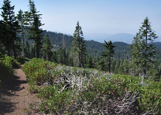 The Park Ridge Trail