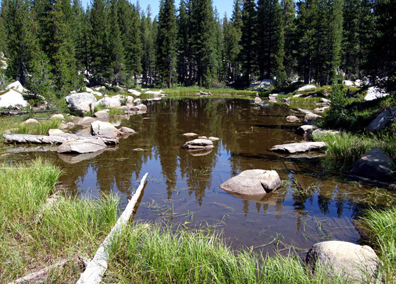 Pond along the Murphy Creek Trail
