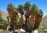 California California