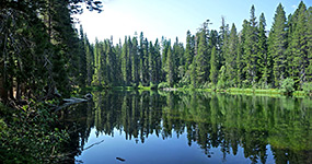 Trees lining Floating Island Lake