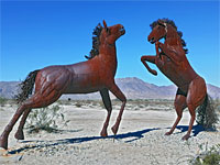 Pair of horses