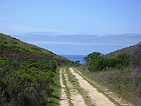 Trail to the coast, Harmony Headlands SP