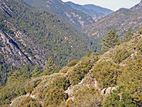 Kings Canyon - west