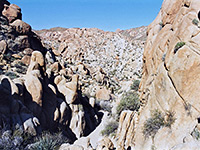 Canyon near the oasis