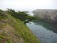 Cypress above an inlet